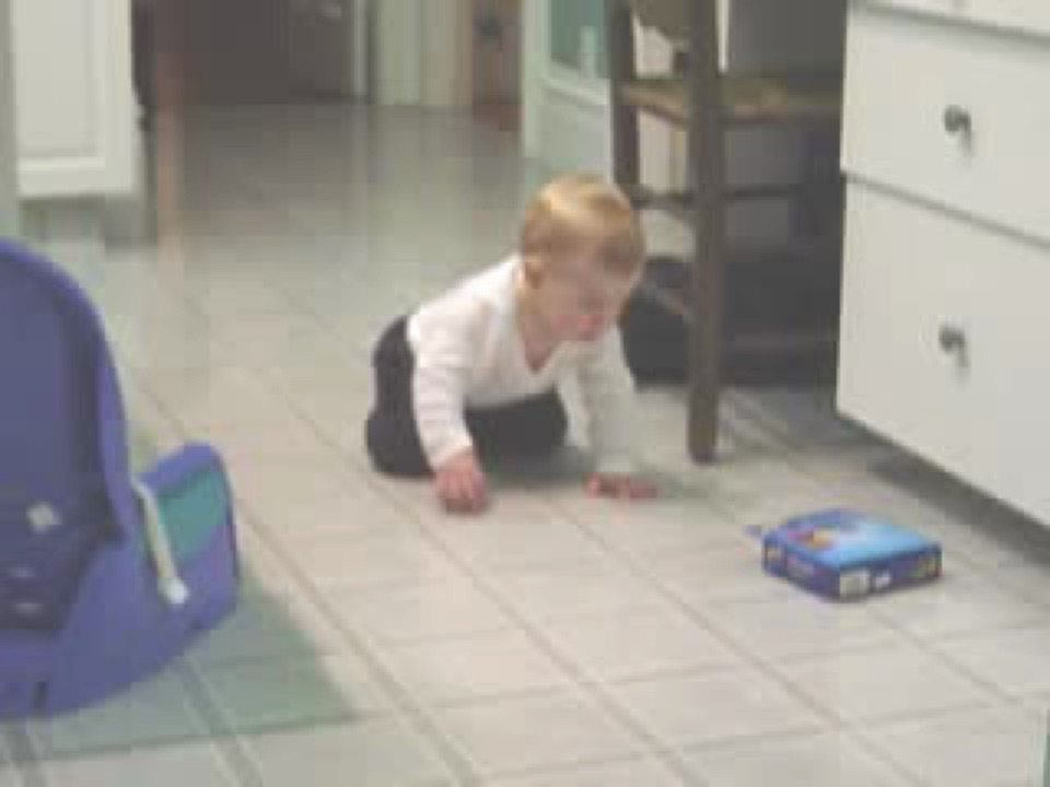 Alex bats a cardboard box on the kitchen floor. Showing remarkable dexterity, I might add