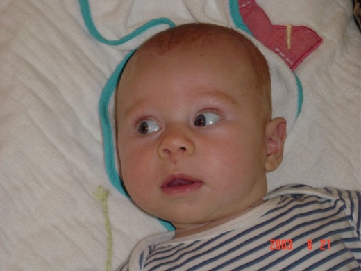 Here's the little guy looking at something presumably brightly colored.